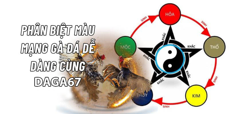 màu mạng gà đá