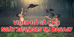 VIDEO ĐÁ GÀ CPC1 NGÀY 26/6/2025 TẠI DAGA67