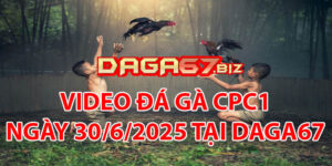 VIDEO ĐÁ GÀ CPC1 NGÀY 30/6/2025 TẠI DAGA67