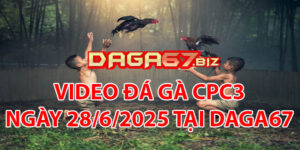 VIDEO ĐÁ GÀ CPC3 NGÀY 28/6/2025 TẠI DAGA67