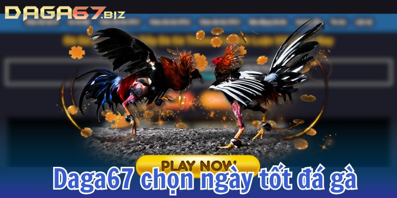 ngày tốt đá gà