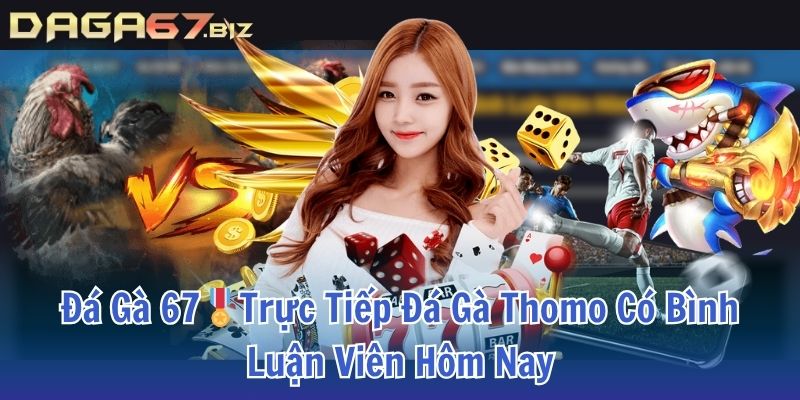 đá gà 67