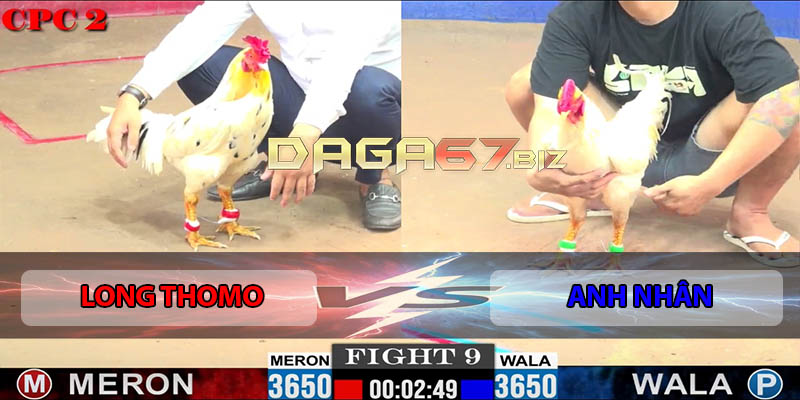 Trận Xổ 9 CPC2 30/7/2025 - Gà A Long Thomo Đá Gà A Nhân
