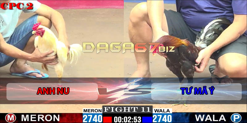 Trận Xổ 11 CPC2 27/7/2025 - Anh Nu Gặp Tư Mã Ý