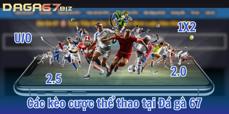 thể thao daga67