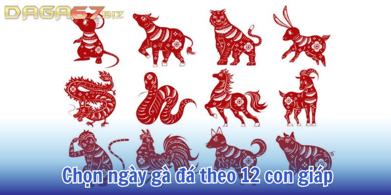 ngày tốt đá gà