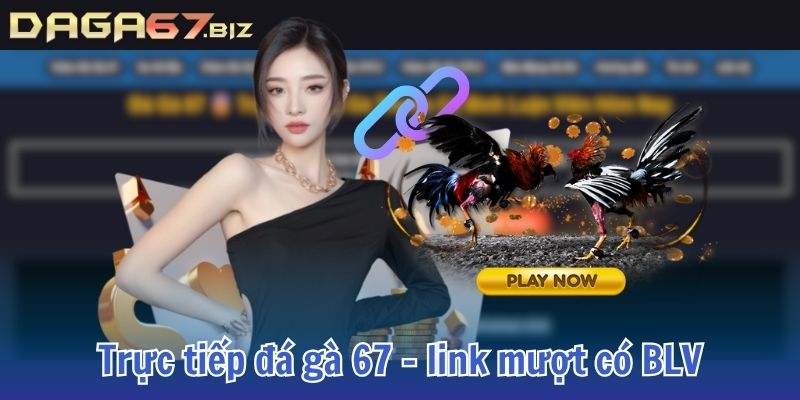 đá gà 67