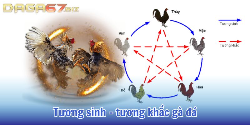 ngày tốt đá gà
