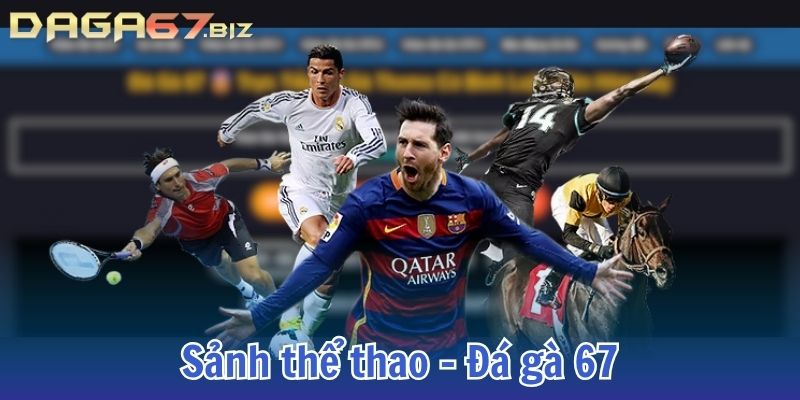 đá gà 67