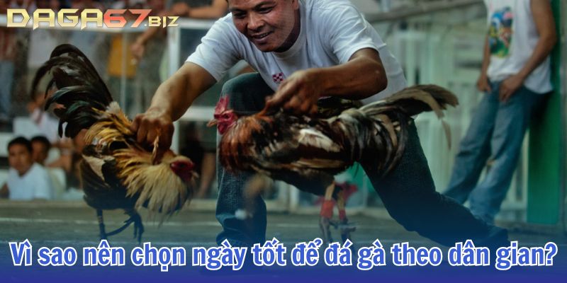 ngày tốt đá gà