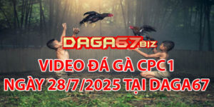 VIDEO ĐÁ GÀ CPC1 NGÀY 28/7/2025 TẠI DAGA67