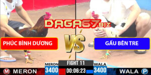 Trận Xổ 11 CPC3 5/8/2025 - Phúc Bình Dương Vs Gấu Bến Tre