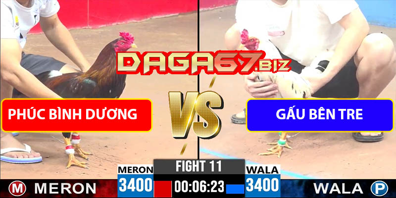 Trận Xổ 11 CPC3 5/8/2025 - Phúc Bình Dương Vs Gấu Bến Tre