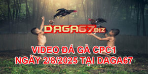 VIDEO ĐÁ GÀ CPC1 NGÀY 2/8/2025 TẠI DAGA67