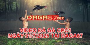 VIDEO ĐÁ GÀ CPC1 NGÀY 31/7/2025 TẠI DAGA67
