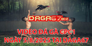 VIDEO ĐÁ GÀ CPC1 NGÀY 5/8/2025 TẠI DAGA67