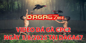 VIDEO ĐÁ GÀ CPC2 NGÀY 3/8/2025 TẠI DAGA67