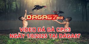 VIDEO ĐÁ GÀ CPC3 NGÀY 1/8/2025 TẠI DAGA67