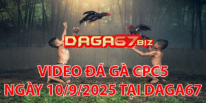 VIDEO ĐÁ GÀ CPC5 NGÀY 10/9/2025 TẠI DAGA67