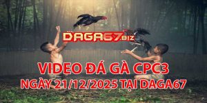 VIDEO ĐÁ GÀ CPC3 NGÀY 21/12/2025 TẠI DAGA67